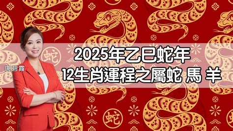 2025年蛇年運程|蘇民峰2025生肖運程｜一文睇晒蛇年十二生肖整體運勢/愛情/財運 